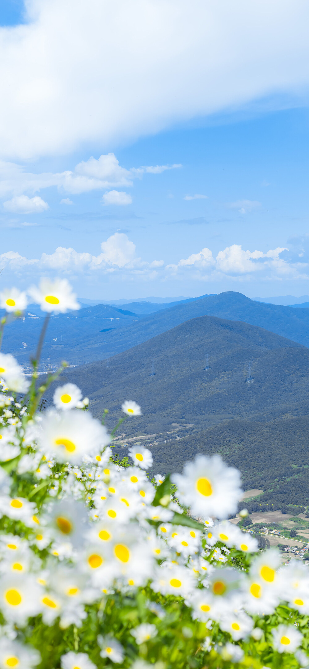 风景