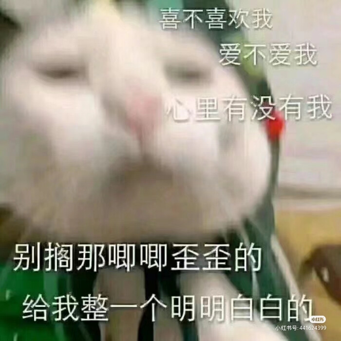 搞笑女专属