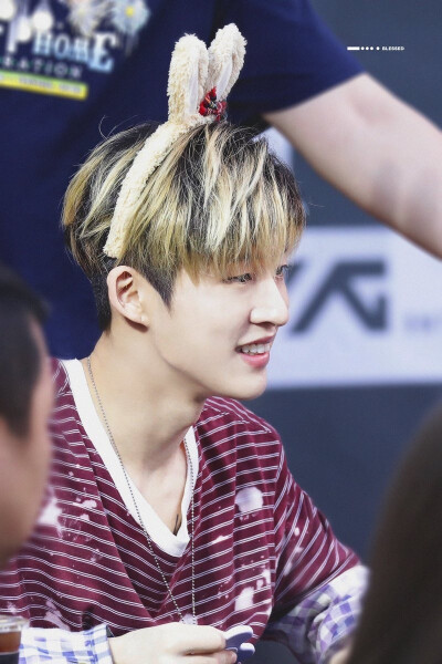 图源网络
金韩彬