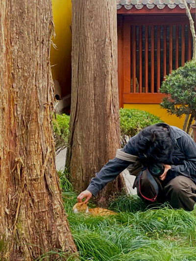 法喜寺