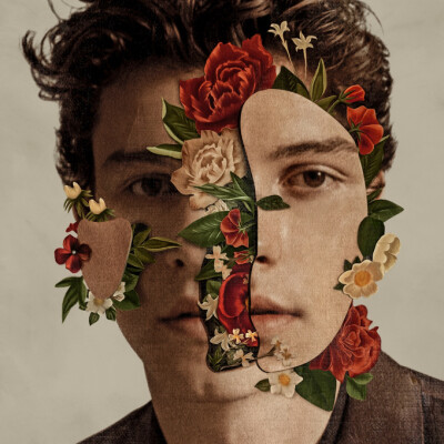 专辑封面:Shawn Mendes