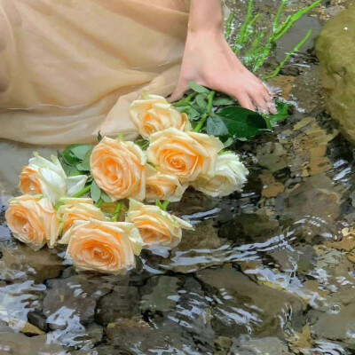 少女的梦里有大海有日落有蝉鸣不止的盛夏和永不凋零的鲜花