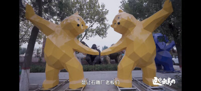 纪录片 这货哪来的