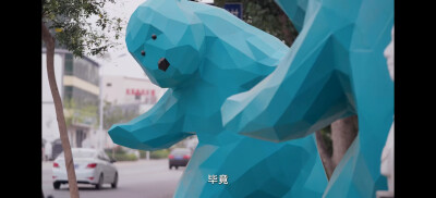 纪录片 这货哪来的