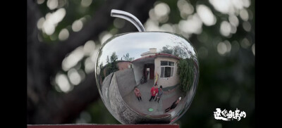 纪录片 这货哪来的