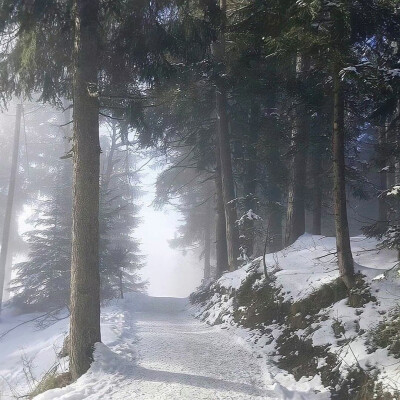 雪落下的声音。