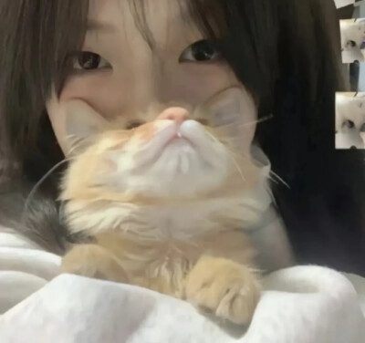 女头 抱猫女头