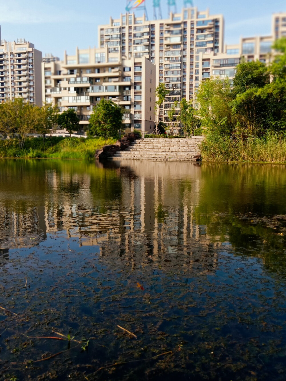 春日风景,高山流水, 你值得拥有
愿被这风景治愈 