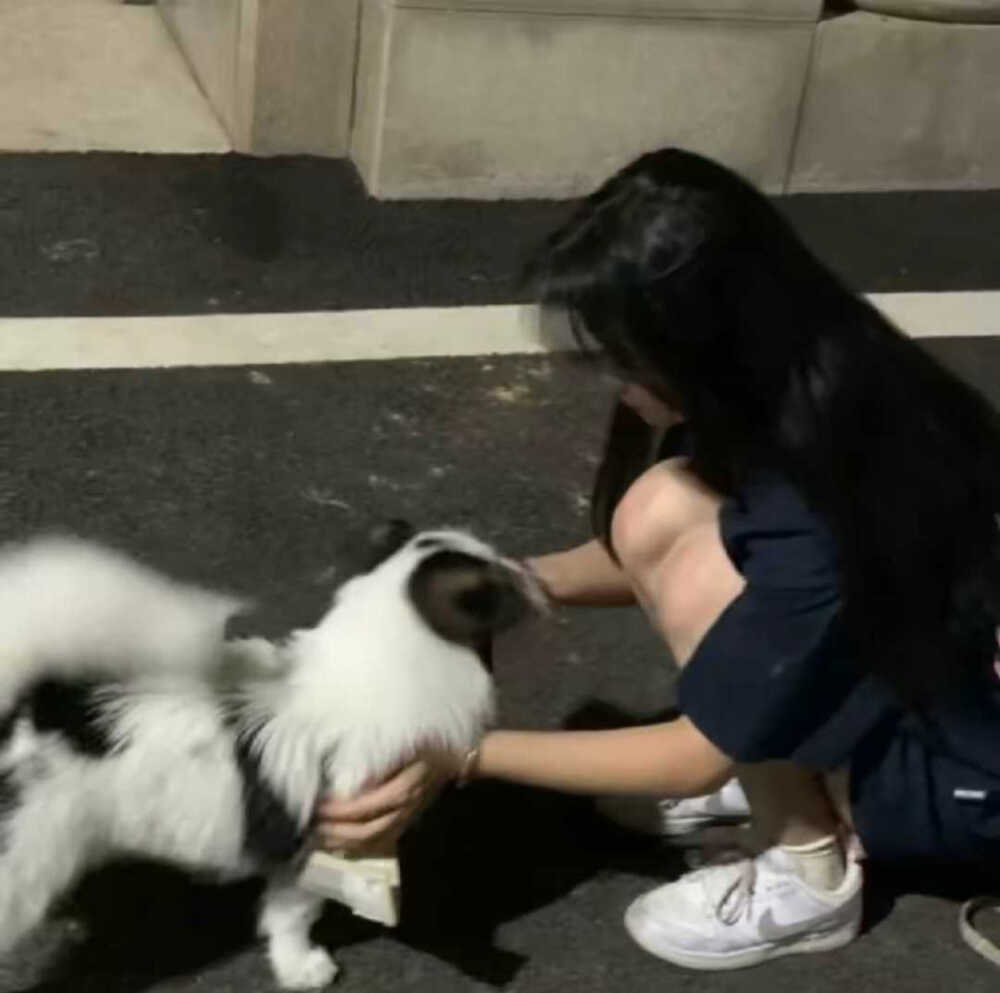 抱着动物的女生头像