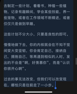 小小的目标