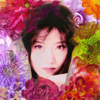 明菜