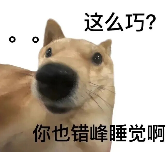 表情包