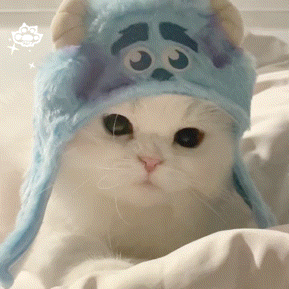 表情包