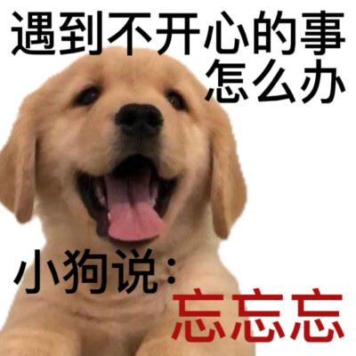 表情包