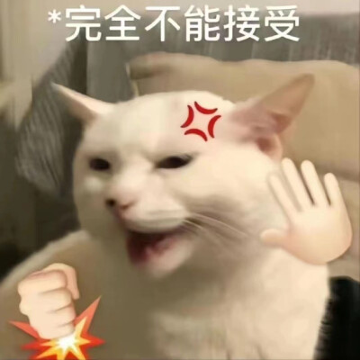 表情包