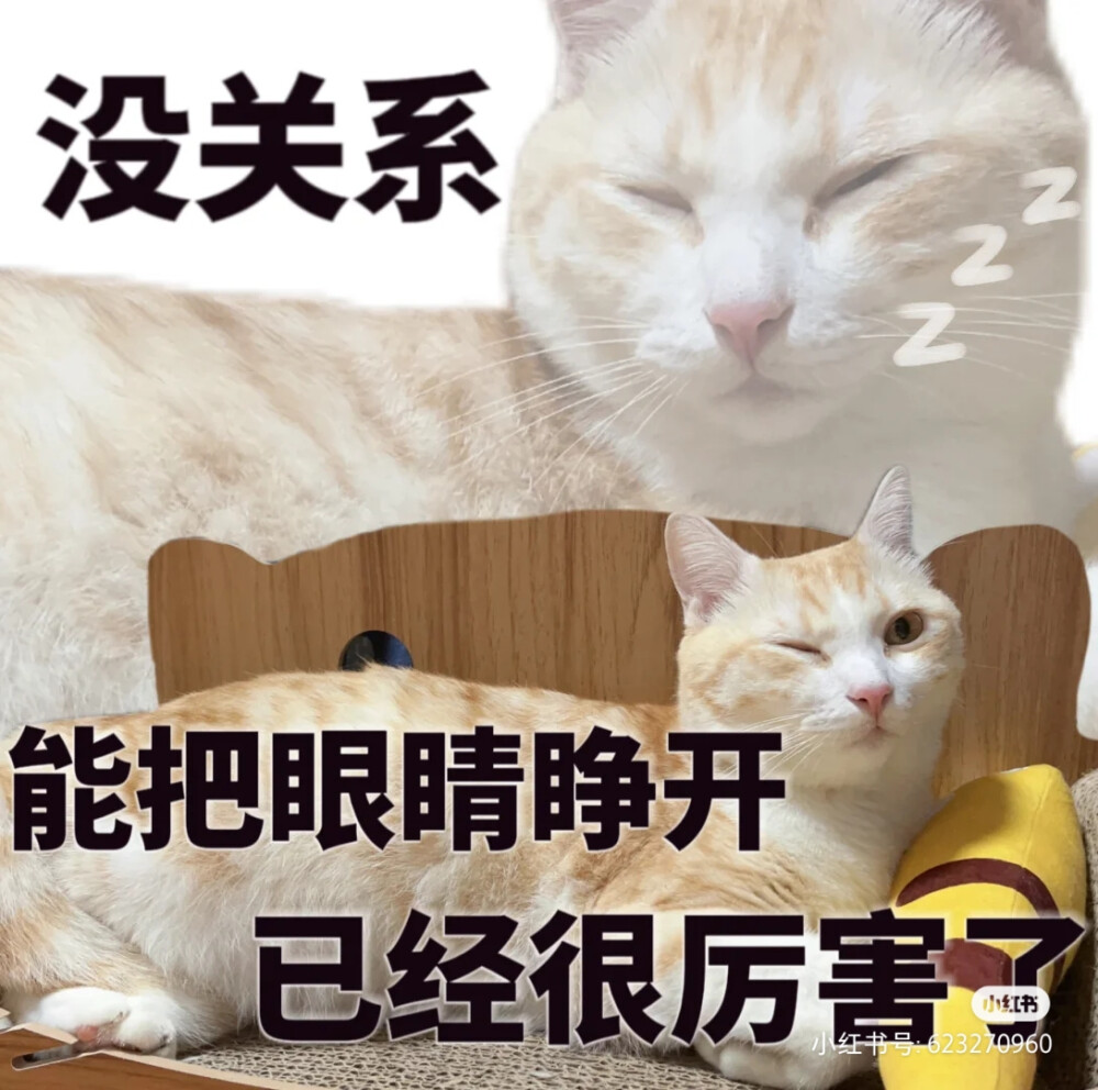 表情包