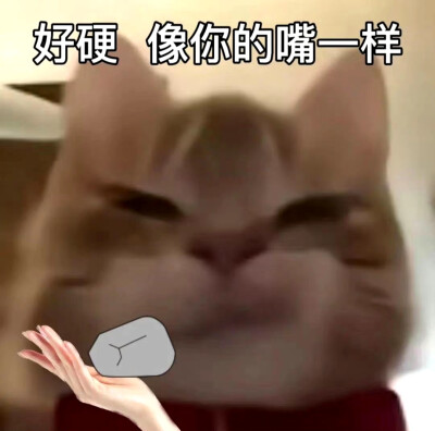 歪嘴小猫表情包
像你一样表情包