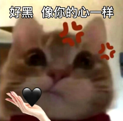 歪嘴小猫表情包
像你一样表情包