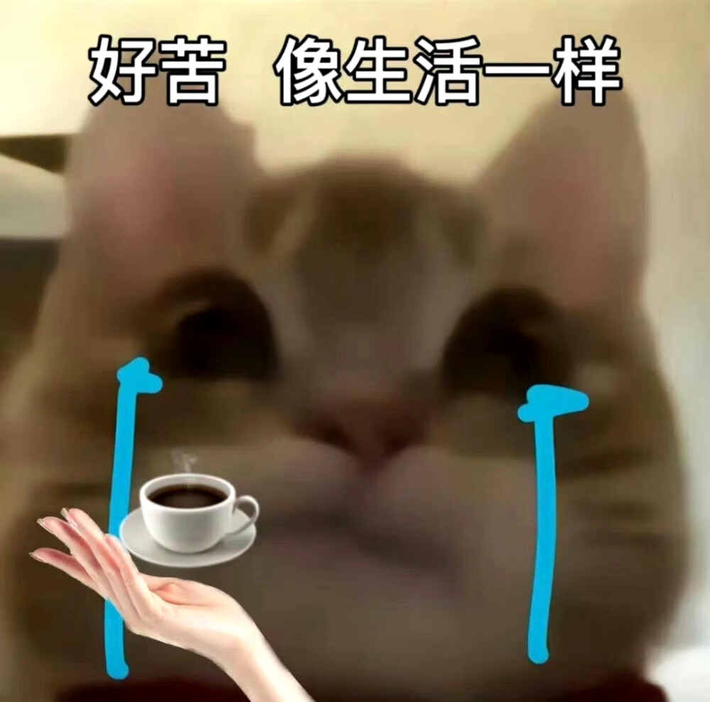 歪嘴小猫表情包
像你一样表情包