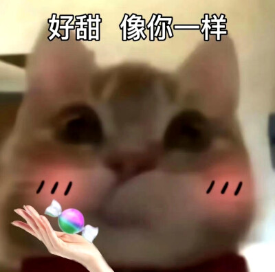 歪嘴小猫表情包
像你一样表情包