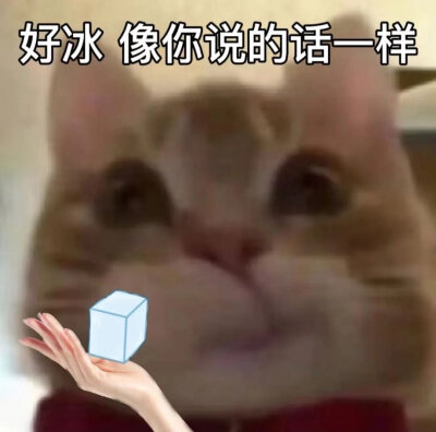 搞笑表情包