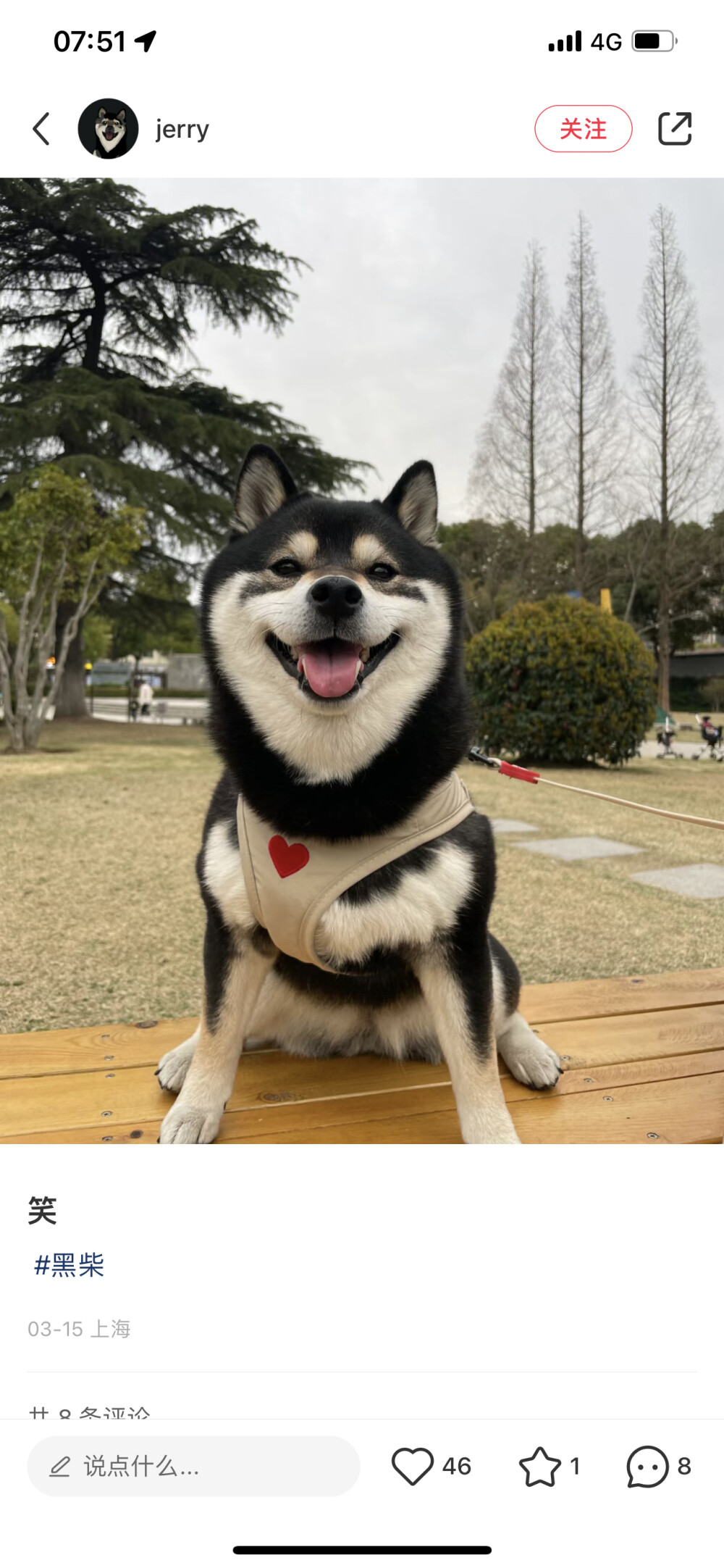 柴