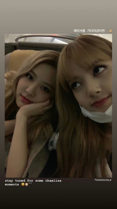 Lisa × 朴彩英
©Logo侵删.