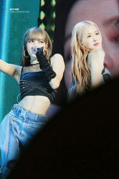 Lisa × 朴彩英
©Logo侵删.