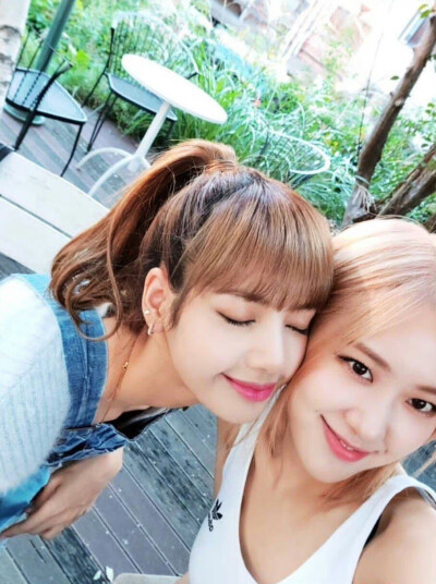 Lisa × 朴彩英
©Logo侵删.