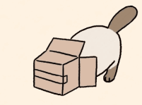 GIF表情包