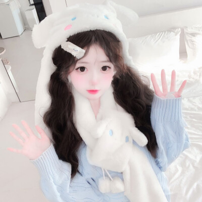 可爱の玉桂狗