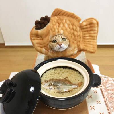 dt：意义本身