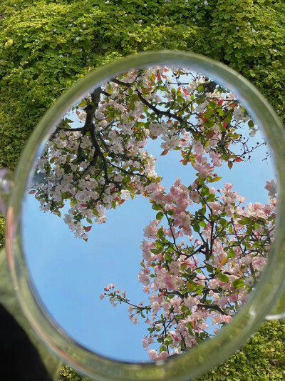 春日背景图 绿色