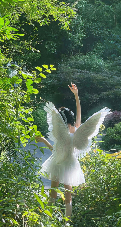 春日壁纸