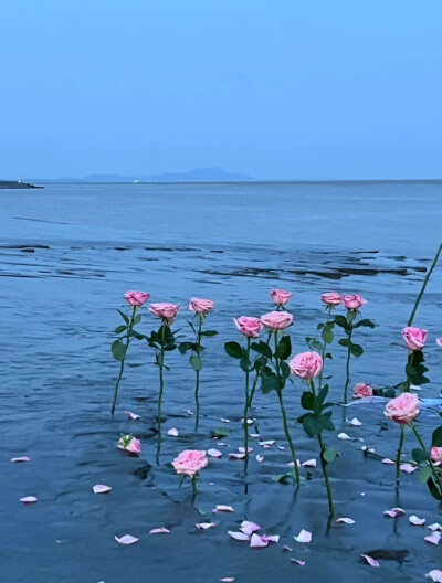 “我一直在哭.哭我没有新鞋子穿.直到有一天我发现有人没有脚。” 