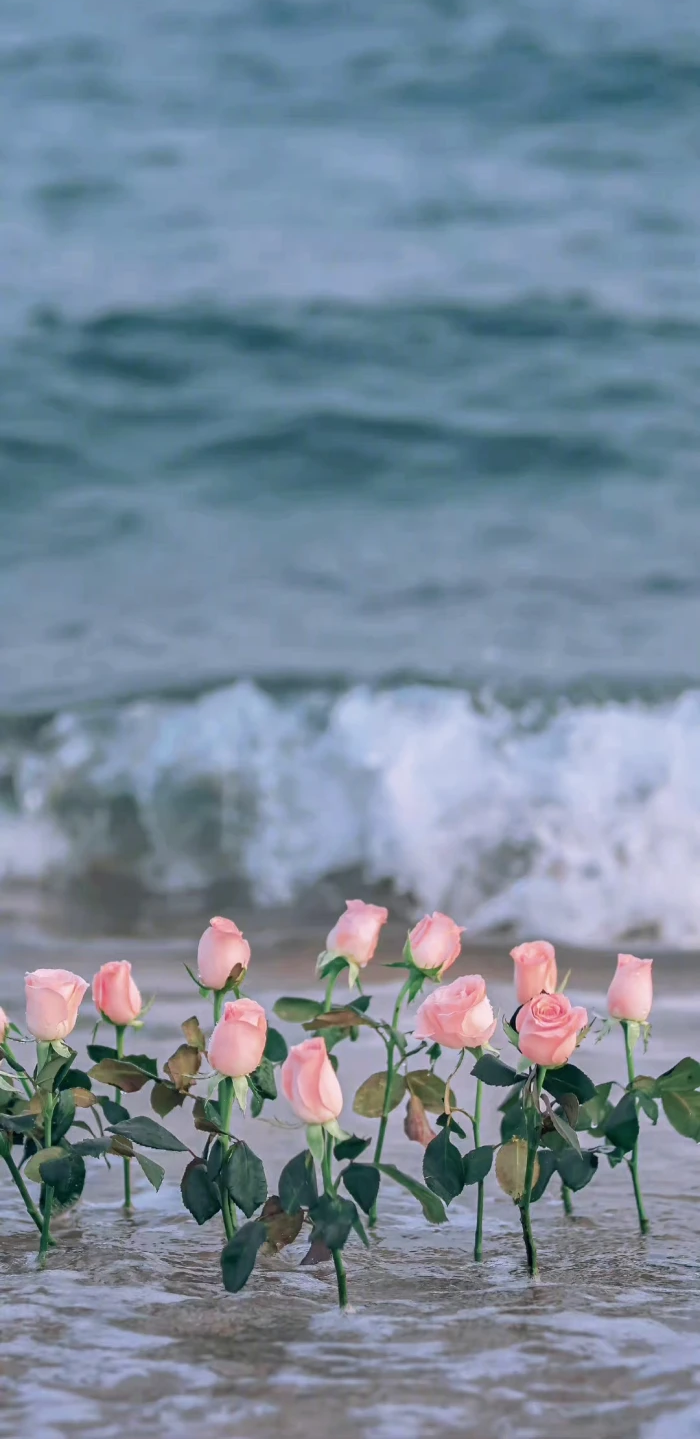 “我一直在哭.哭我没有新鞋子穿.直到有一天我发现有人没有脚。” 