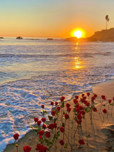 “我一直在哭.哭我没有新鞋子穿.直到有一天我发现有人没有脚。” 