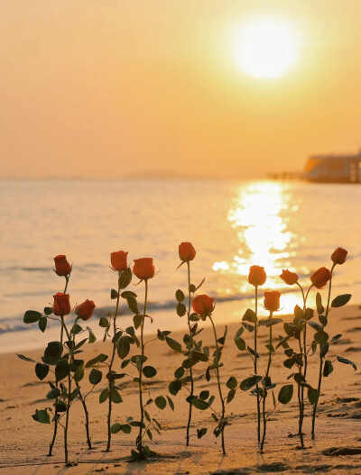 “我一直在哭.哭我没有新鞋子穿.直到有一天我发现有人没有脚。” 