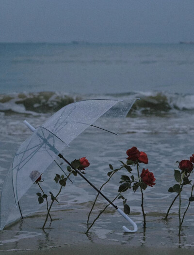 “我一直在哭.哭我没有新鞋子穿.直到有一天我发现有人没有脚。” 