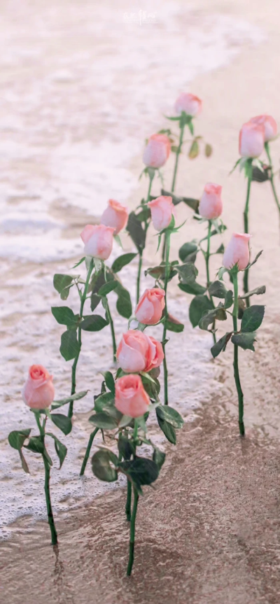 “我一直在哭.哭我没有新鞋子穿.直到有一天我发现有人没有脚。” 