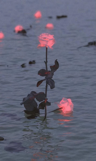 “我一直在哭.哭我没有新鞋子穿.直到有一天我发现有人没有脚。” 