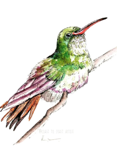 鸟元素，ins：coast_to_coast_artist ​ ​​​