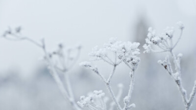 雪景