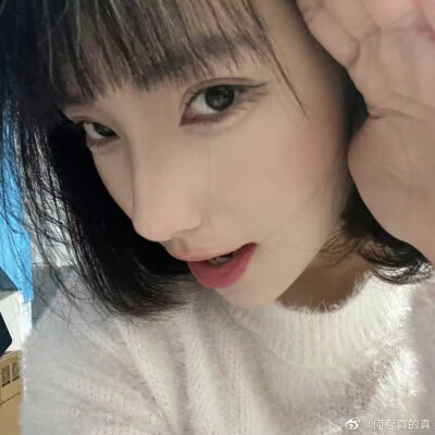 美人儿