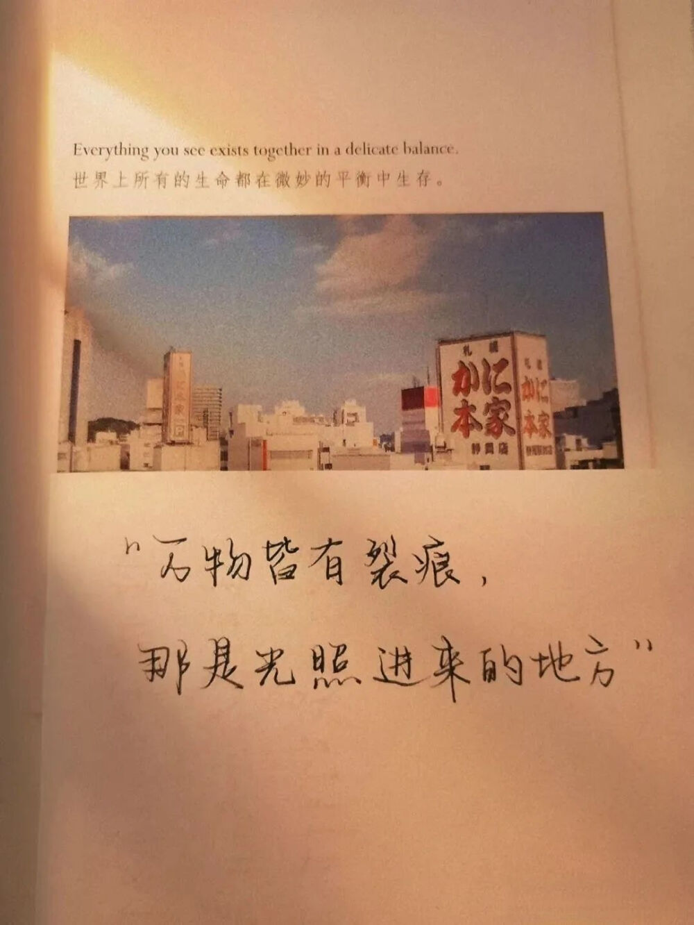 唯利是图3