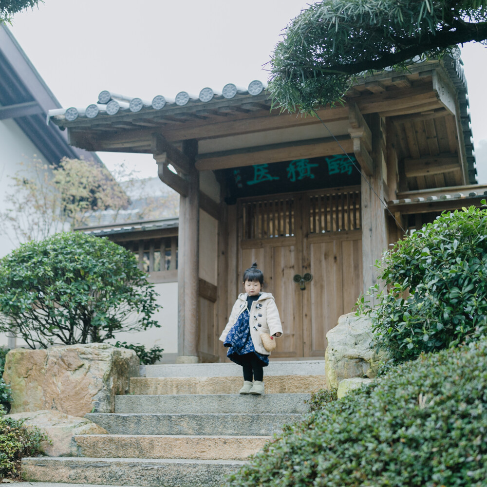 那就去径山寺喝杯茶吧
摄影：洪小漩
其实，去寺庙上香祈福对我家而言，是一件稀松平常的事。
但是，最近忽然火了一句话：在上班和上进之间，我选择了上香。
的确，去寺庙一时间成为了一种流行。我也在去灵隐寺、法喜寺上香的同时，对这句话有了切身的体验。
说实话，我也正是被生活所困，心浮气躁时去寺庙寻一时清静。只不过，现在，像我这样的人越来越多。这才延伸出了“在求人和求己之间，我选择了求佛”这样的调侃。
有人说，年轻人不上进。有人说，这是给自己一种积极的心理暗示。当然，也不排除有人纯粹跟风，打开拍照罢了。
却，总有人对这一现象看不惯，想剖析这一群人，妄想对他们指指点点。