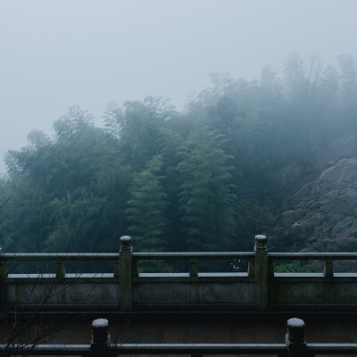 那就去径山寺喝杯茶吧
摄影：洪小漩
其实，去寺庙上香祈福对我家而言，是一件稀松平常的事。
但是，最近忽然火了一句话：在上班和上进之间，我选择了上香。
的确，去寺庙一时间成为了一种流行。我也在去灵隐寺、…