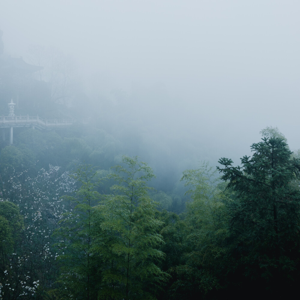 那就去径山寺喝杯茶吧
摄影：洪小漩
其实，去寺庙上香祈福对我家而言，是一件稀松平常的事。
但是，最近忽然火了一句话：在上班和上进之间，我选择了上香。
的确，去寺庙一时间成为了一种流行。我也在去灵隐寺、法喜寺上香的同时，对这句话有了切身的体验。
说实话，我也正是被生活所困，心浮气躁时去寺庙寻一时清静。只不过，现在，像我这样的人越来越多。这才延伸出了“在求人和求己之间，我选择了求佛”这样的调侃。
有人说，年轻人不上进。有人说，这是给自己一种积极的心理暗示。当然，也不排除有人纯粹跟风，打开拍照罢了。
却，总有人对这一现象看不惯，想剖析这一群人，妄想对他们指指点点。
