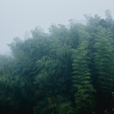 那就去径山寺喝杯茶吧
摄影：洪小漩
其实，去寺庙上香祈福对我家而言，是一件稀松平常的事。
但是，最近忽然火了一句话：在上班和上进之间，我选择了上香。
的确，去寺庙一时间成为了一种流行。我也在去灵隐寺、…