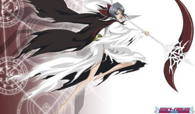 bleach